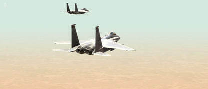 F-15C & E