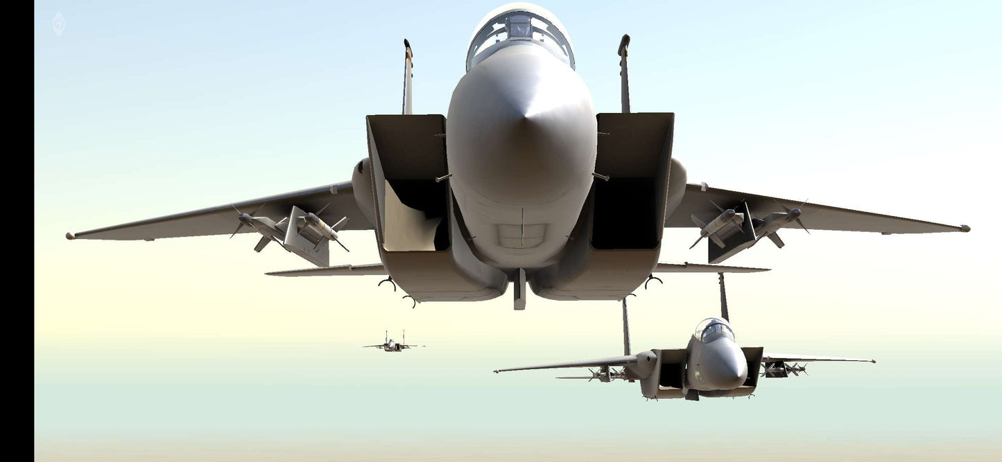 F-15C & E